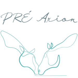 LOGO_PRE_ARION